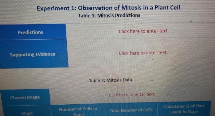 Observation of mitosis in a plant cell