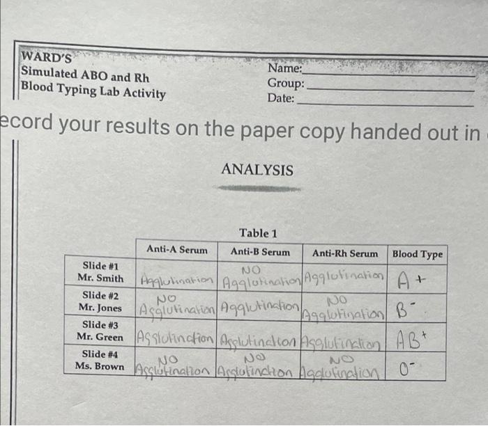 Abo/rh simulated blood typing worksheet