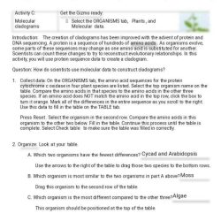 Student exploration cladograms answer key