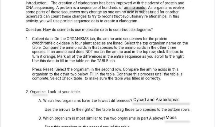 Student exploration cladograms answer key