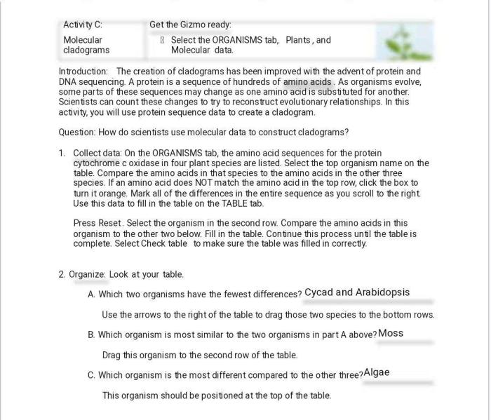 Student exploration cladograms answer key