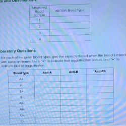 Abo/rh simulated blood typing worksheet