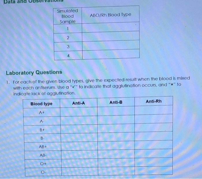 Abo/rh simulated blood typing worksheet