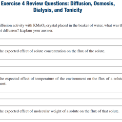 Chapter review diffusion and osmosis