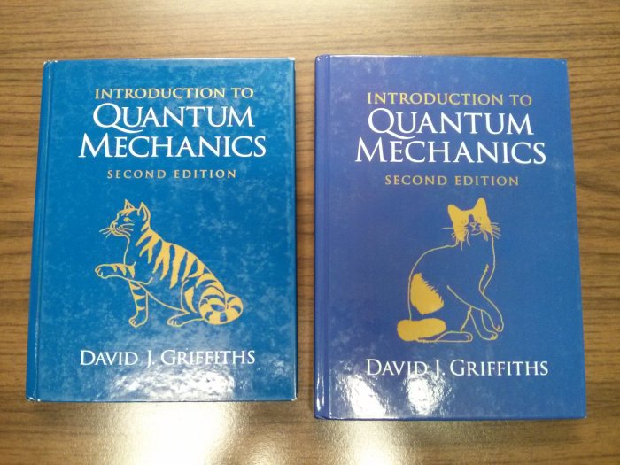 Griffiths quantum