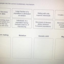 Classify each example into the correct evolutionary mechanism.