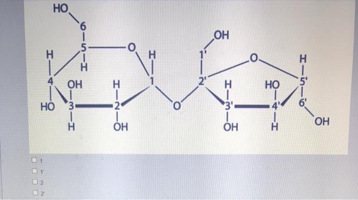 Consider the structure of sucrose with labeled carbon atoms