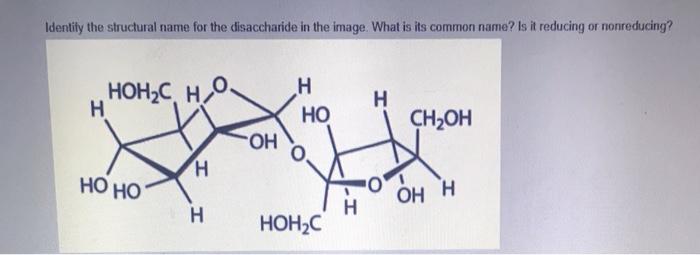 Sucrose disaccharides glucose disaccharide fructose dare use lactose carbohydrates word carbon formula two chemical sugar molecule condensation 2010 sugars monosaccharides