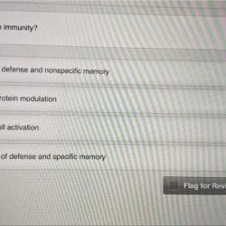 Ons/oncc chemotherapy immunotherapy certificate test answers